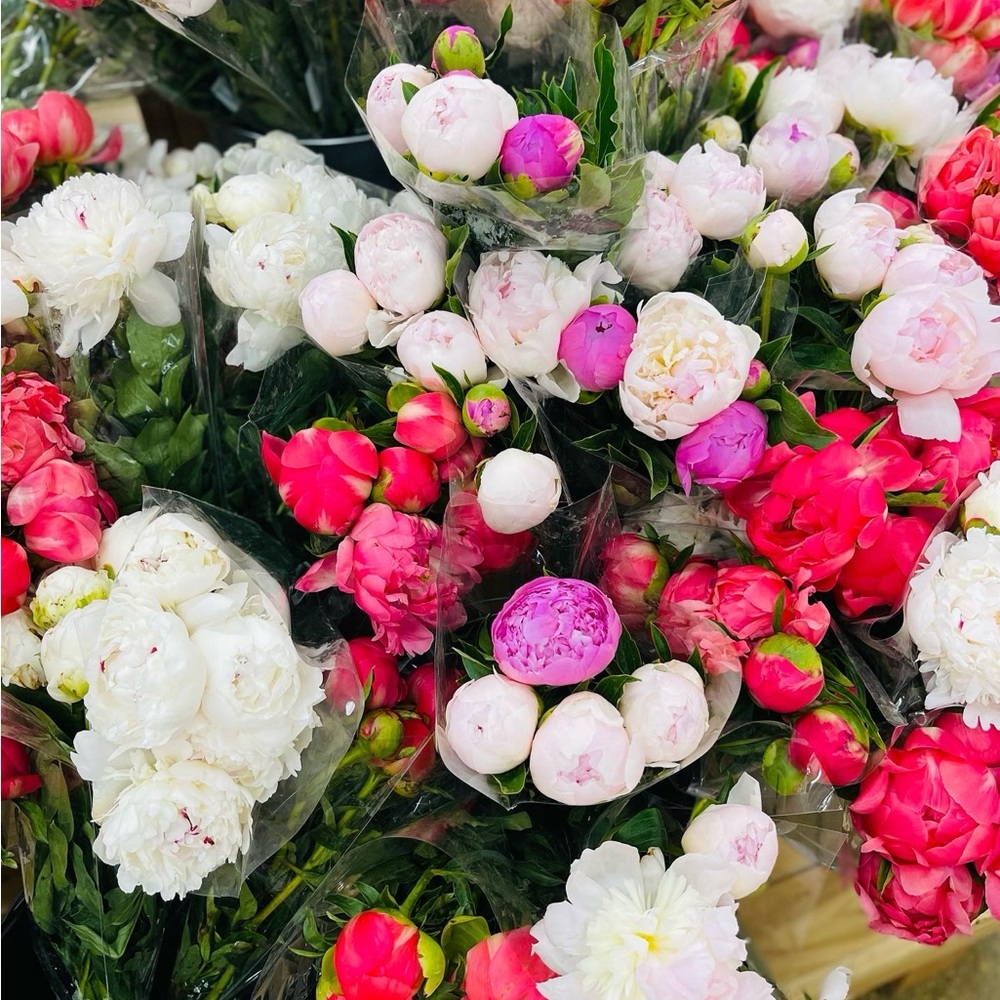 Meet your Posher, Mary